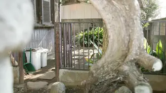 ADN-395 [中文字幕] 三宮つばき - 到鄉下單身赴任的我和溫柔的房東人妻滿身是汗的性交。