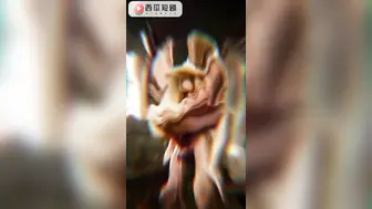 长生录：侄女为求丹药主动张开双腿 被叔叔压在窗边后入到喷水失禁